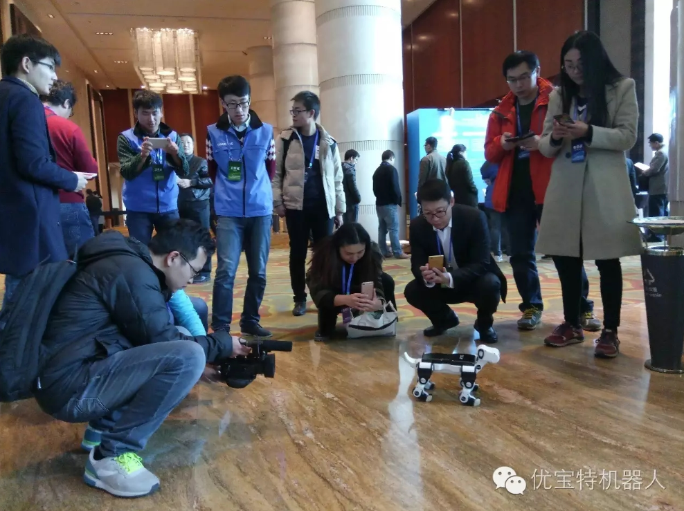 “單身狗”紅透光棍節，小Billy榮獲中國智能創新設計大賽亞軍