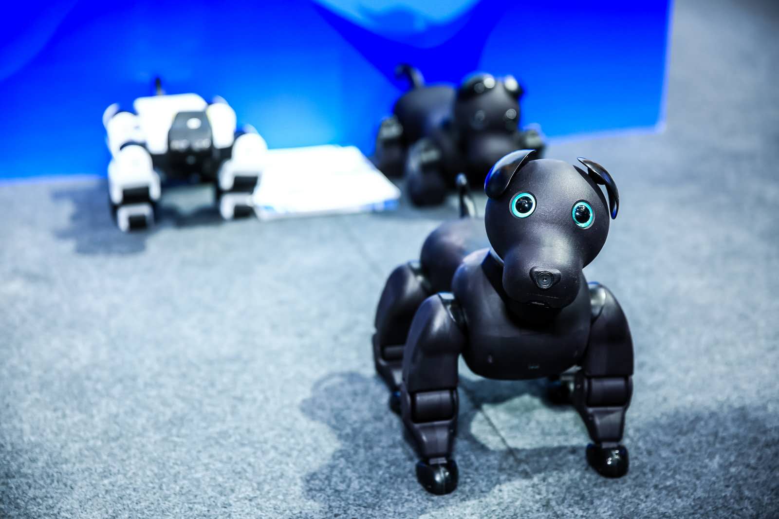 優寶特機器人亮相軟博會，獲贊滿滿