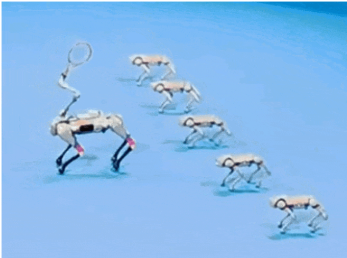 中國(guó)機(jī)器人，正在總動(dòng)員！